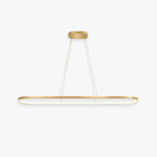 Junel Minimalist Oval Interior Hanging Pendant Light