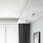 Arisha Flush Mount Ceiling Light Cylindrical Modern, Metal, Black/White, Hallway