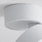 Arisha Flush Mount Ceiling Light Cylindrical Modern, Metal, Black/White, Hallway