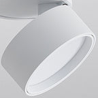 Arisha Flush Mount Ceiling Light Cylindrical Modern, Metal, Black/White, Hallway