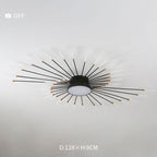 Wesley Modern Home Decoration Fireworks LED Ceiling Light