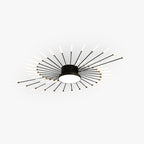 Wesley Modern Home Decoration Fireworks LED Ceiling Light