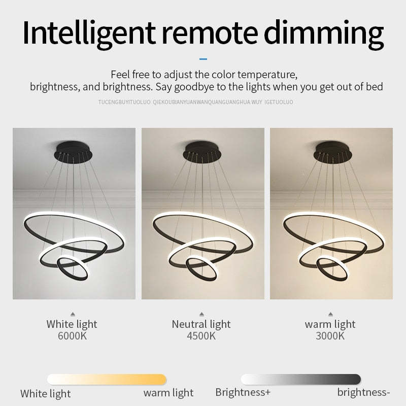 Zin Modern Ring Pendant Light, 2/3/4 Rings