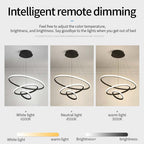 Zin Modern Ring Pendant Light, 2/3/4 Rings