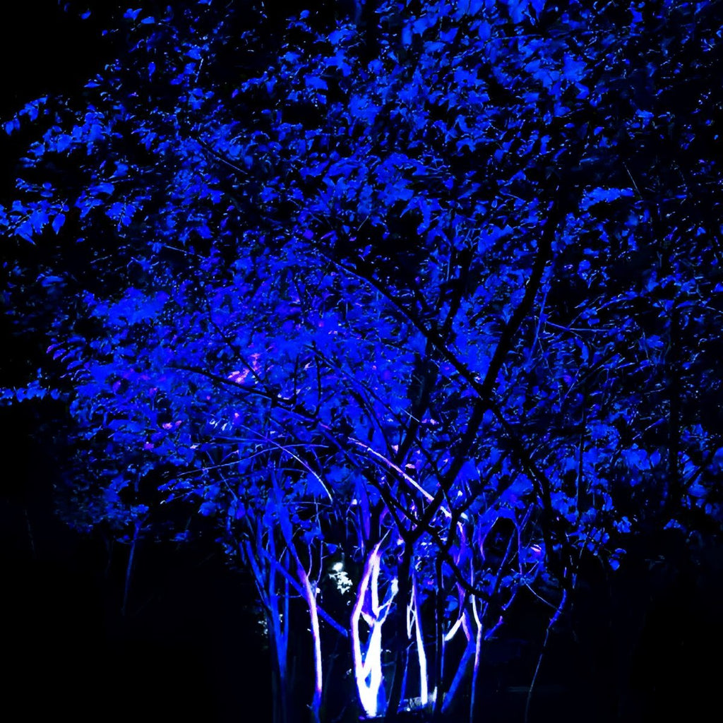 Waterproof Outdoor Landscape RGB Tree Spot Light With Remote Control