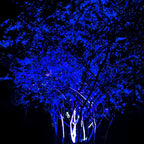 Waterproof Outdoor Landscape RGB Tree Spot Light With Remote Control