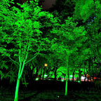 Waterproof Outdoor Landscape RGB Tree Spot Light With Remote Control
