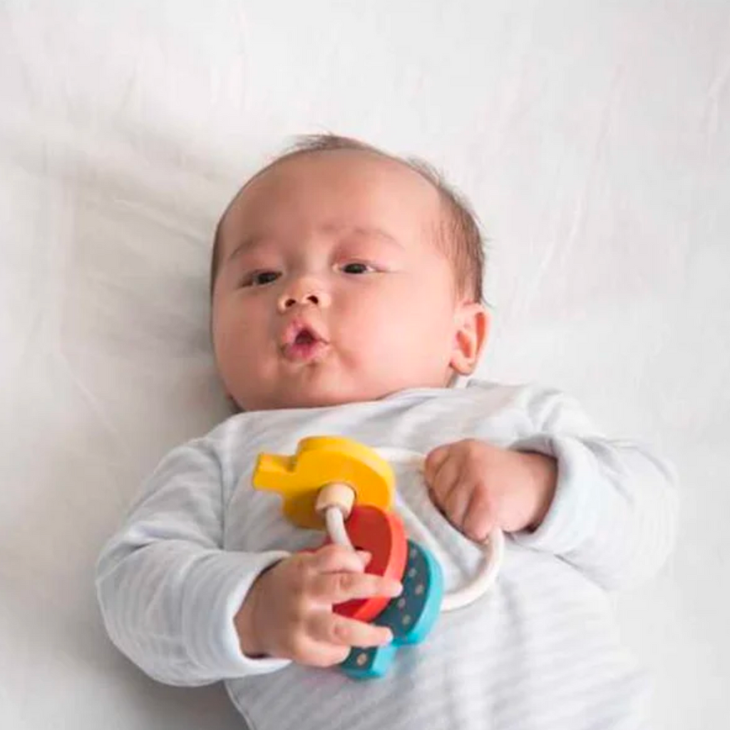 Baby Key Rattle