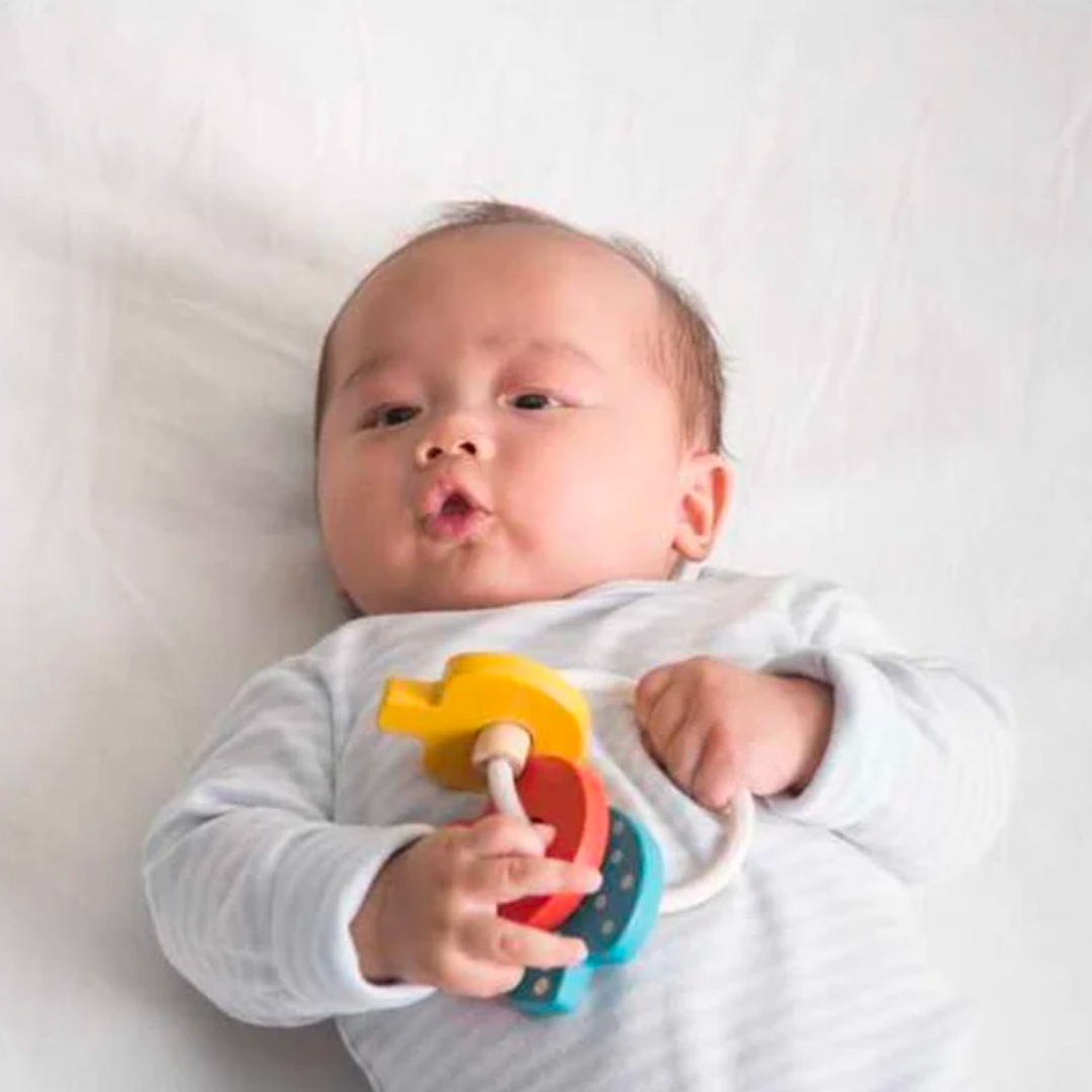 Baby Key Rattle details