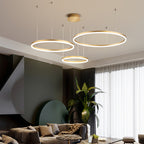 Remi Pendant Light Tir-Circle Liner