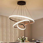 Zin Modern Ring Pendant Light, 2/3/4 Rings