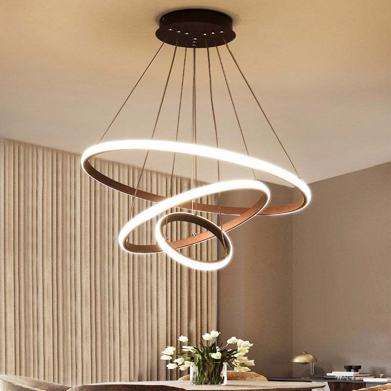 Zin Modern Ring Pendant Light, 2/3/4 Rings