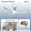 3-Blade Indoor Outdoor Ceiling Fan with LED Light Dimmable Remote IP44 Patio Gazebo — 42 to 52 Inch