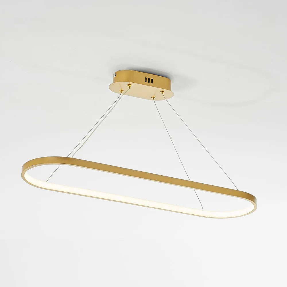 Junel Minimalist Oval Interior Hanging Pendant Light