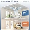 3-Blade Indoor Outdoor Ceiling Fan with LED Light Dimmable Remote IP44 Patio Gazebo — 42 to 52 Inch