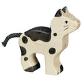 Small Black and White Cat