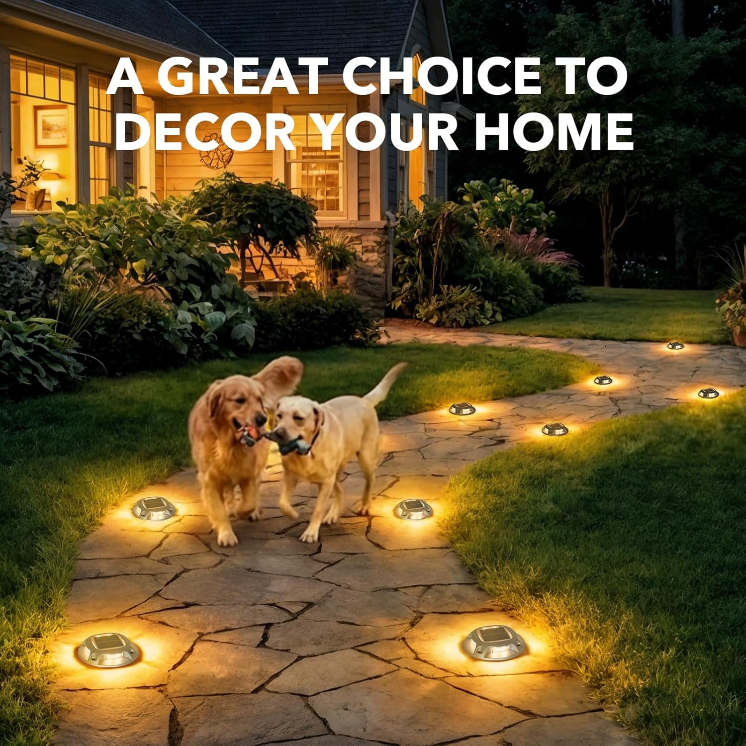 Solar driveway marker lights IP68 warm white LED outdoor — driveway installation photo