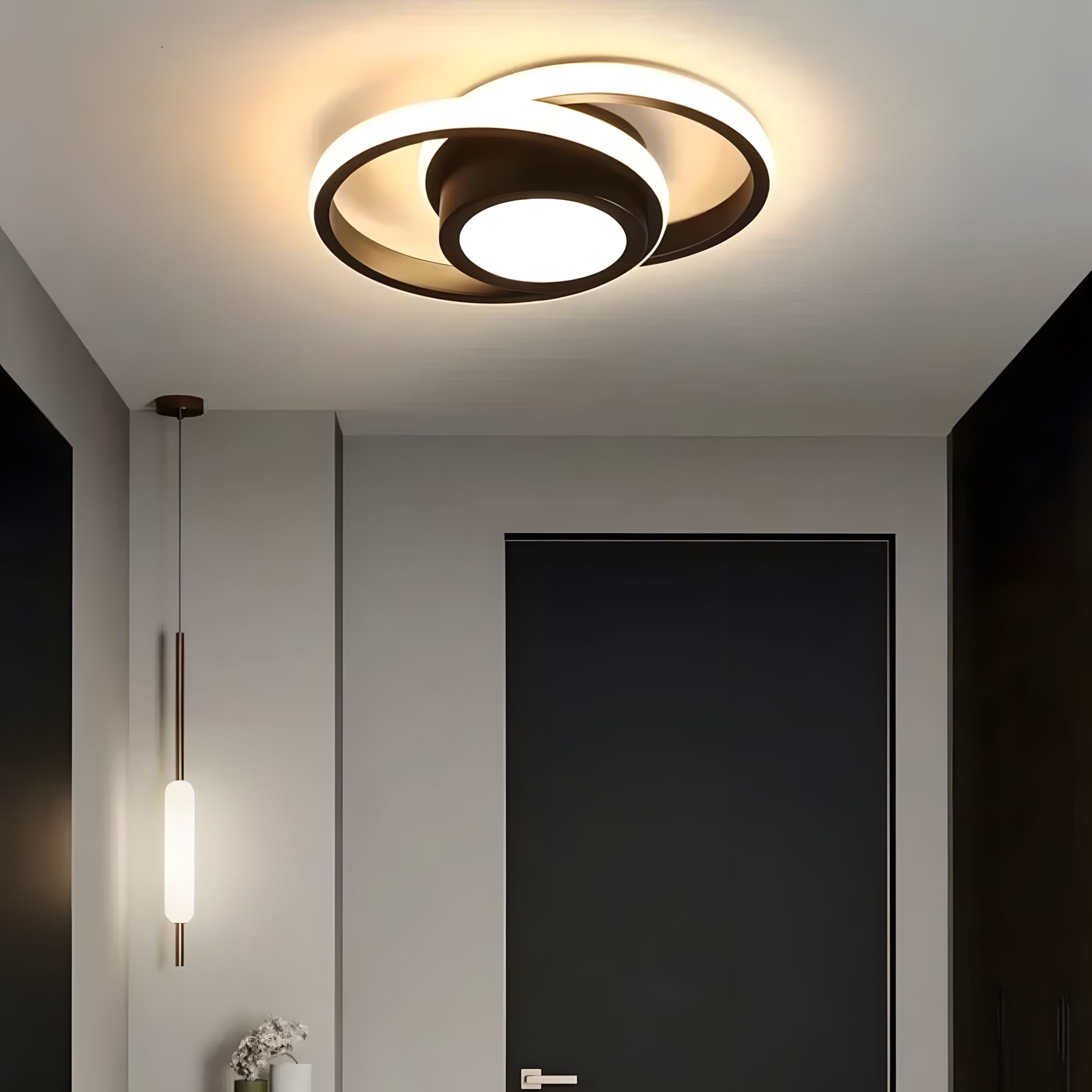 Modern LED Ceiling Light Iron Dimmable Bedroom Corridor Kitchen — Style A B C Warm Cold Tricolor