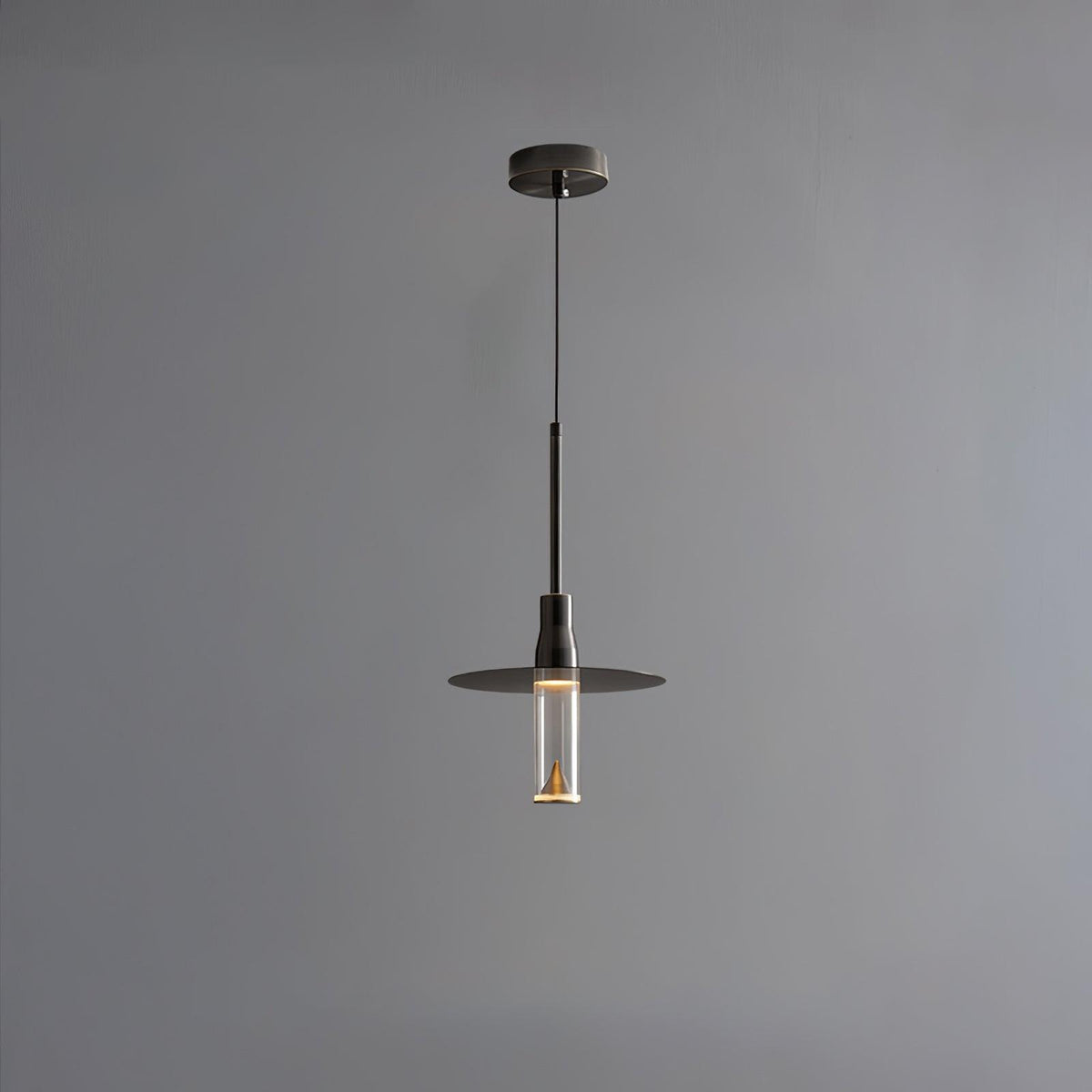 Acrylic Hat Plate Pendant Light Dimmable Bedroom Dining Room Hallway — Black Warm Light