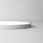 Acrylic Ultra-Thin Round Flush Mount Ceiling Light Dimmable Bedroom Hallway — White Black 11 to 19 Inch
