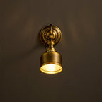 Addison Gooseneck Wall Lamp Adjustable Brass Arm LED Warm White Reading Bedroom Office