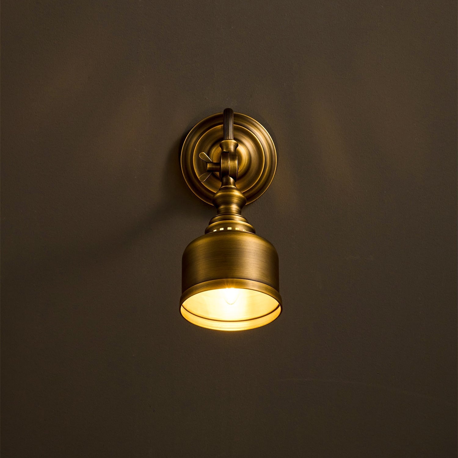 Addison Gooseneck Wall Lamp Adjustable Brass Arm LED Warm White Reading Bedroom Office