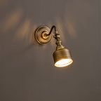 Addison Gooseneck Wall Lamp Adjustable Brass Arm LED Warm White Reading Bedroom Office