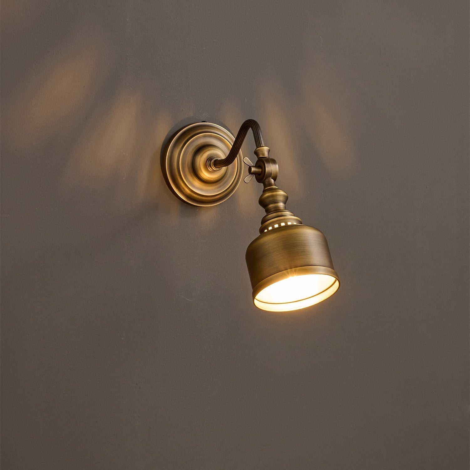 Addison Gooseneck Wall Lamp Adjustable Brass Arm LED Warm White Reading Bedroom Office
