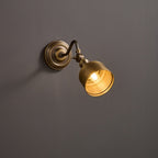 Addison Gooseneck Wall Lamp Adjustable Brass Arm LED Warm White Reading Bedroom Office