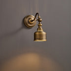 Addison Gooseneck Wall Lamp Adjustable Brass Arm LED Warm White Reading Bedroom Office