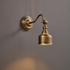 Addison Gooseneck Wall Lamp Adjustable Brass Arm LED Warm White Reading Bedroom Office