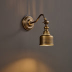 Addison Gooseneck Wall Lamp Adjustable Brass Arm LED Warm White Reading Bedroom Office