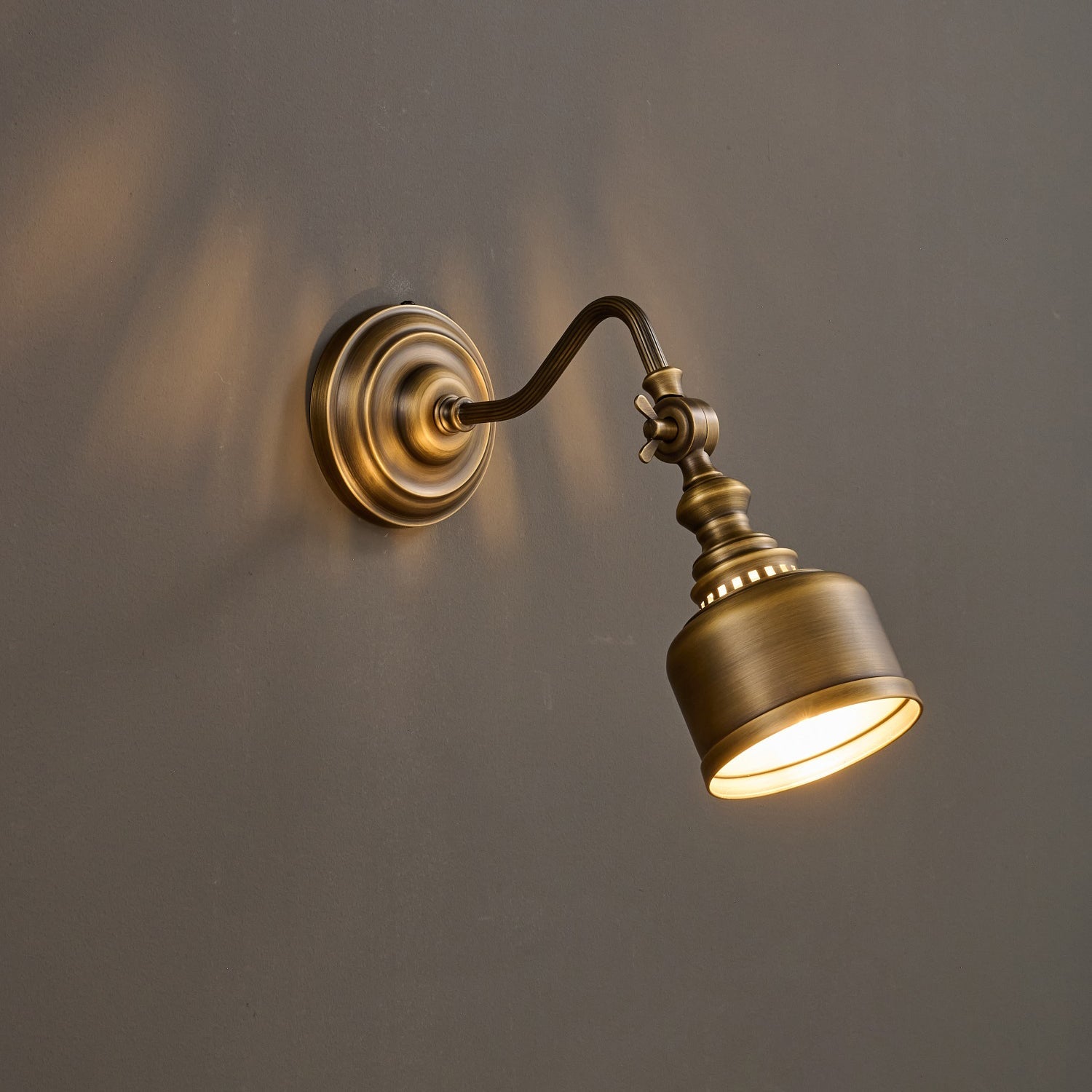 Addison Gooseneck Wall Lamp Adjustable Brass Arm LED Warm White Reading Bedroom Office