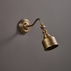 Addison Gooseneck Wall Lamp Adjustable Brass Arm LED Warm White Reading Bedroom Office