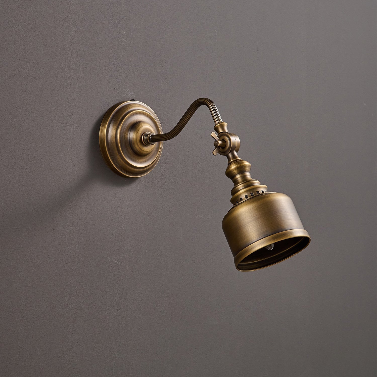 Addison Gooseneck Wall Lamp Adjustable Brass Arm LED Warm White Reading Bedroom Office