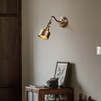 Addison Gooseneck Wall Lamp Adjustable Brass Arm LED Warm White Reading Bedroom Office