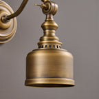 Addison Gooseneck Wall Lamp Adjustable Brass Arm LED Warm White Reading Bedroom Office