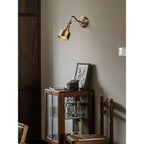 Addison Gooseneck Wall Lamp Adjustable Brass Arm LED Warm White Reading Bedroom Office