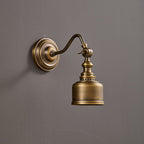 Addison Gooseneck Wall Lamp Adjustable Brass Arm LED Warm White Reading Bedroom Office