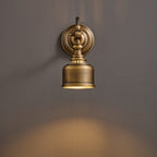 Addison Gooseneck Wall Lamp Adjustable Brass Arm LED Warm White Reading Bedroom Office
