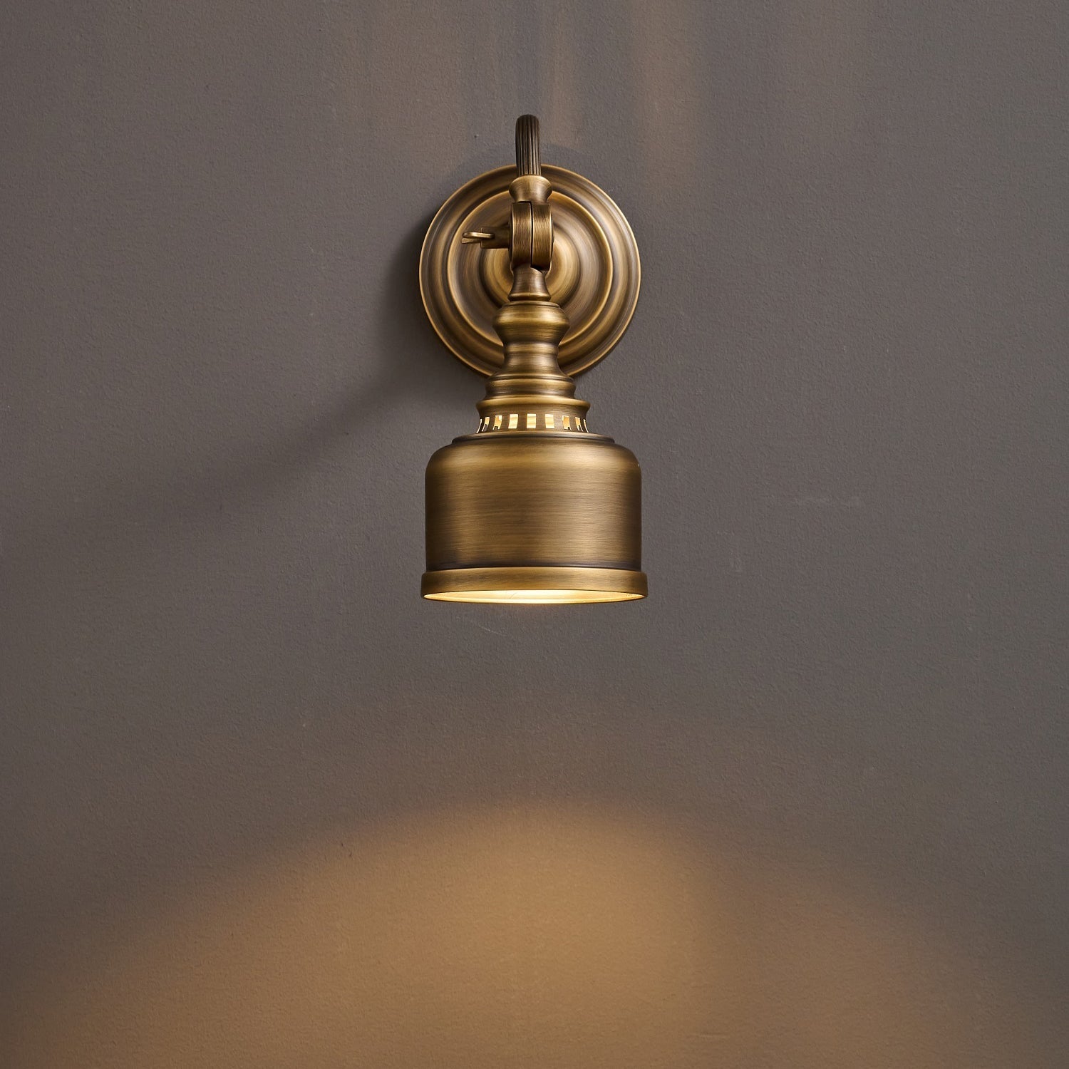 Addison Gooseneck Wall Lamp Adjustable Brass Arm LED Warm White Reading Bedroom Office