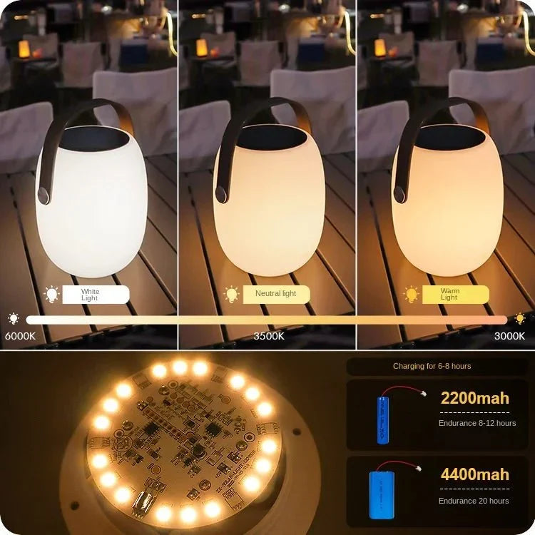 Solar Portable Outdoor Lantern Frosted Globe Warm White Gold Handle — Small Large