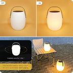 Solar Portable Outdoor Lantern Frosted Globe Warm White Gold Handle — Small Large