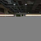 Arsorisra Industrial Linear Pendant Light