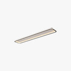 Arisha Minimalist Flush Mount Black Frame Rectangular Ceiling Light