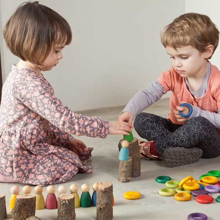 Grapat Colorful Nins Rings and Coins Sorting Game
