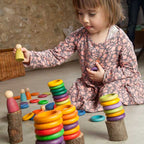 Grapat Colorful Nins Rings and Coins Sorting Game