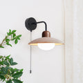Black &  Walnut Color