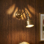 Addison Gooseneck Wall Lamp Adjustable Brass Arm LED Warm White Reading Bedroom Office