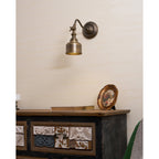 Addison Gooseneck Wall Lamp Adjustable Brass Arm LED Warm White Reading Bedroom Office
